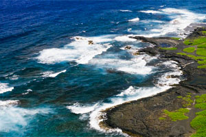 Bermagui Fishing