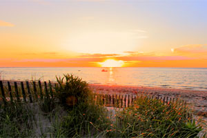 Cape Cod Fishing