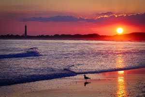 Cape May Fishing