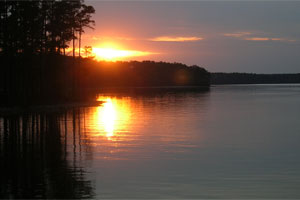 Clarks Hill Lake Fishing