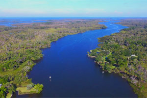 Crystal River Fishing