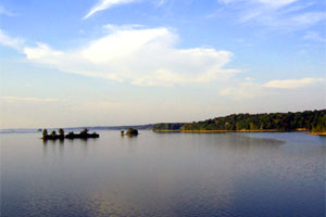 Kentucky Lake Fishing