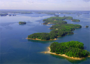 Lake Lanier Fishing