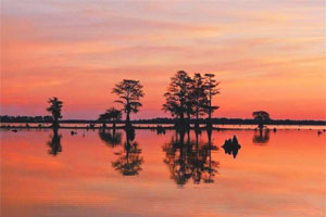 Santee Cooper Lakes Fishing