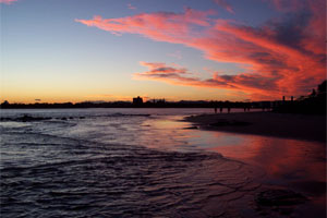 Sunshine Coast Fishing