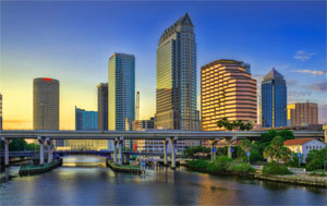 Tampa Fishing